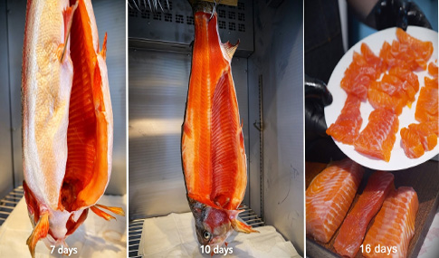 The Gift of Time: SICAO Explores the Flavor Realm of Aged Fish